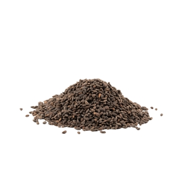 صنوبر بري غير مقشور 450 جرام